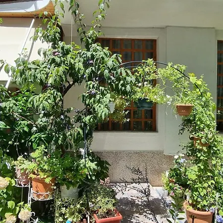 Garden Πανσιόν