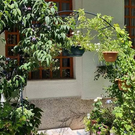 Garden Gasthof Tirana