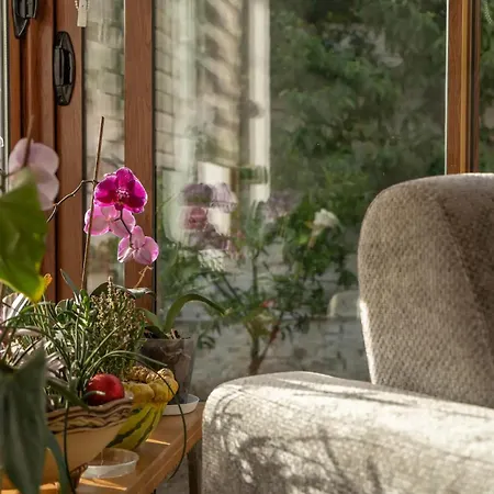 Maison d'hôtes Garden