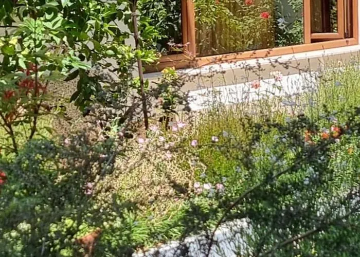 게스트하우스 Garden 티라나