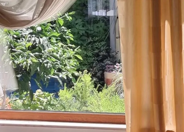 Garden 게스트하우스