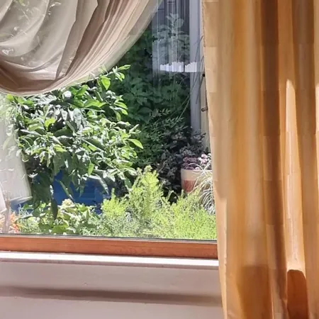 Garden ゲストハウス